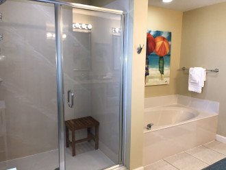Primary Shower & Tub