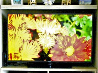 Flat Screen TV in Living Room