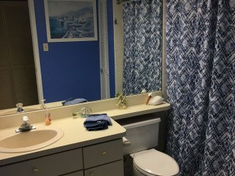 Guest bathroom with walk-in shower stall