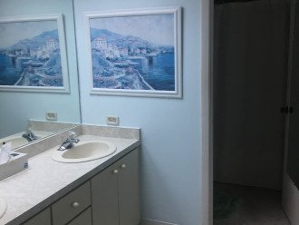 Master Bathroom area (double sinks)