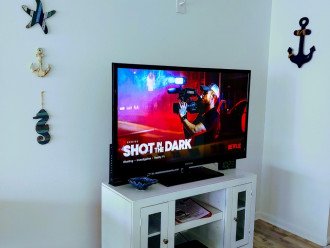 Smart TV's with Netflix, Hulu access