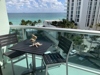 DIRECT Ocean View & Pool View FULLY Remodeled Condo #14