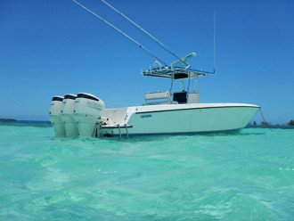 Many nearby offshore fishing charters to choose from.