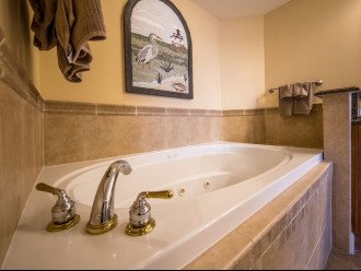 Master Bathroom has oversized jacuzzi with separate walk in shower.