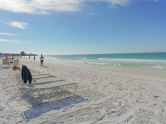 Beach chairs and umbrellas on beach