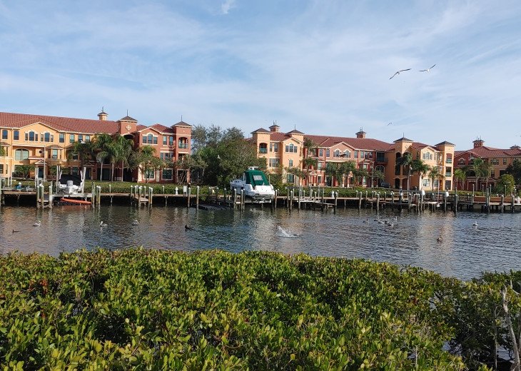 Hidden Waterfront Oasis Grand Venezia Clearwater Available June 1, 2024 #1
