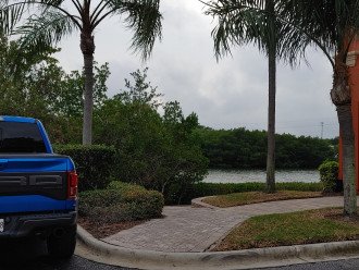 Hidden Waterfront Oasis Grand Venezia Clearwater Available May 5 #48