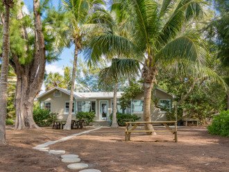 Backyard at Shady Palms: One step to the beach...Sure to be your favorite spot!
