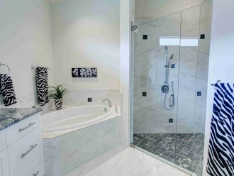 Master bathroom: bath tub and spacious shower
