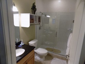 Master bath with tiled shower