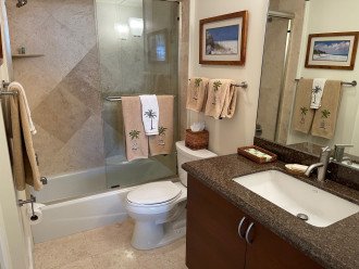 Private Guest Bedroom Bath
