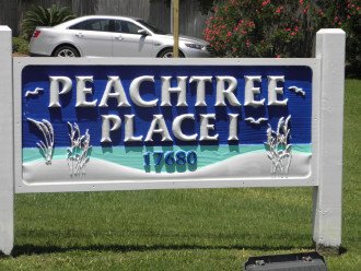 PeachTree Place 1 303 #3