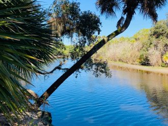 Sleeping Turtles Preserve -(Myakka River) a great area for hiking and walking!