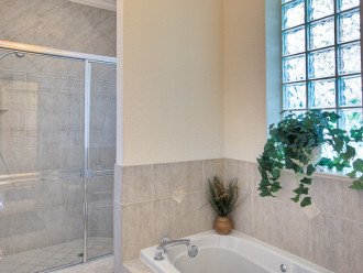 Master bathroom: walk- in shower and bath tub