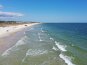 Dolphin Lookout #10
