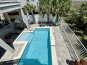 Dolphin Lookout #8