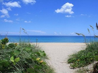 Beautiful Martin County beaches close by with public beach access and free parking.