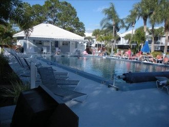 Our pool setting is really a gem. Sun, palms and shade too.