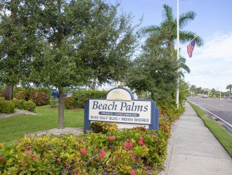 Beach Palms 308 #1