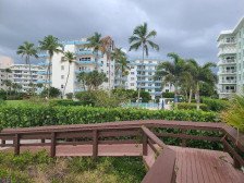 Large 1 bedroom on the white beach of Marco Island . walk to restaurants.