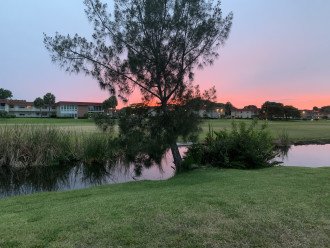 Sunset backyard