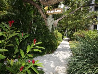Hemingways Atlantic Retreat overlooks Smathers Beach upgrades galore Key West #1