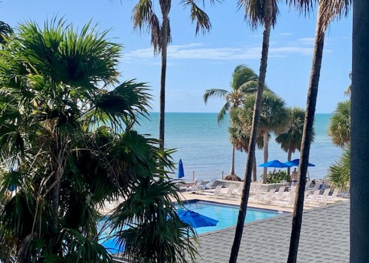 Atlantic Paradise Found modern luxury Best pool in Key West fine finishes #1