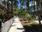 Downtown Key West Oasis, Tropical Paradise Steps from Duval & Ft Zach #1