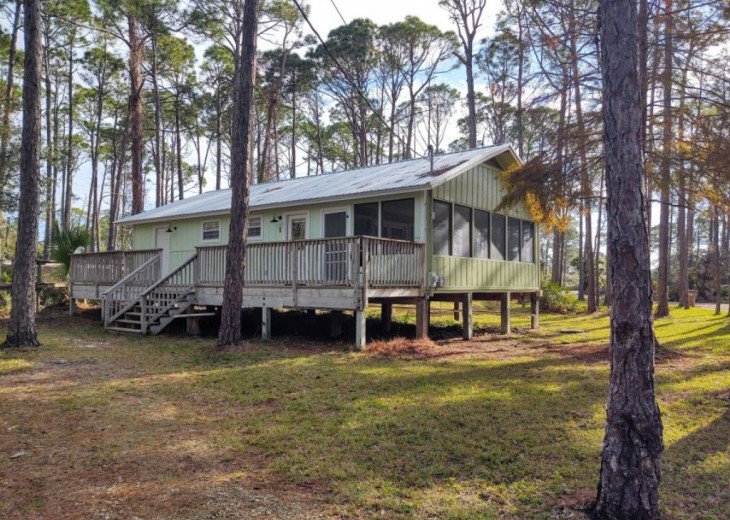 Pet Friendly Whispering Pines Cottage #1 #1
