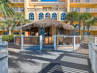 Calypso 704 West - Beach Chairs, Free Swampy Jack's Gift Card Each Day, and More #1