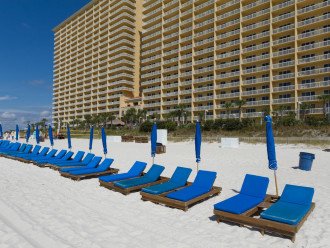 Calypso 704 West - Beach Chairs, Free Swampy Jack's Gift Card Each Day, and More #1