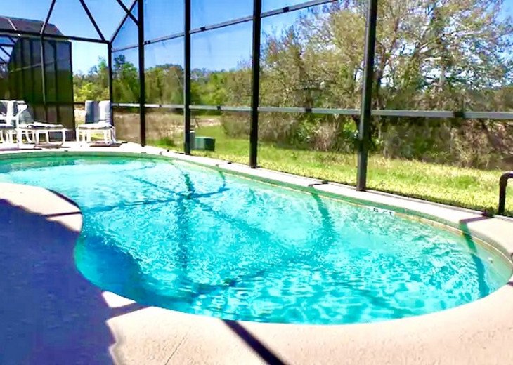 Beautiful private pool overlooking a conservation area