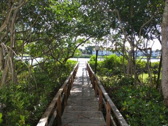 Dock through mangroves to the intracoastal