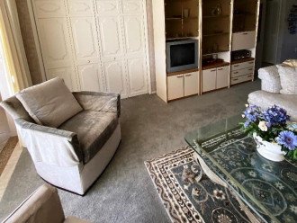 Living Room plush nylon carpet throughout Living, Dining , Den-Guest, Master