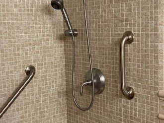 Den-Guest Bathroom - safety tread walk-in shower, custom tile, grab bars