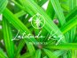 Sugar Key is part of the Residences Collection. Enjoy a stress free vacation with Latitude Key - Curated Vacation Properties