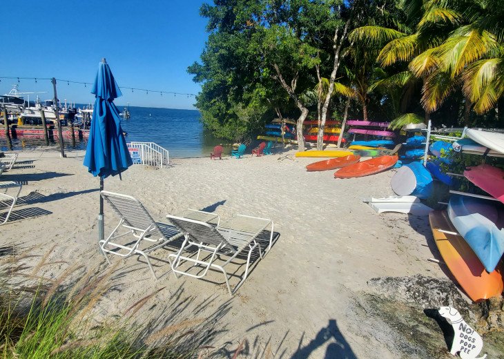 Beach Area for launching Kayaks and Paddleboards
