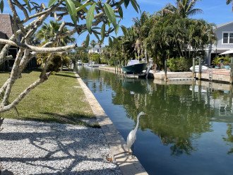 Charming Canal Front Condo - Sleeps 4! #3