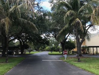 Palm tree lined road through Venetian Palms community