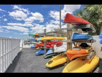 WATERFRONT DUNEDIN COMMUNITY - Newly Renovated - Kayaks & Bikes Included #1