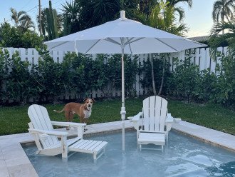 Playa Zen ~ Stunning, Spacious, Modern, Htd Pool, Dog-Friendly #1