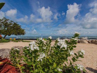 Renovated Ocean Front Property-2 Screened in patios w/ endless bay views & beach #42