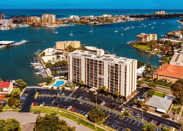 Walking Distance to Pier 60, Aquarium and Clearwater Beach #1