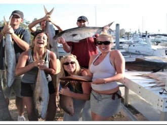 FISHING TRIPS and EVENING &- DAY CRUISES AVAILABLE