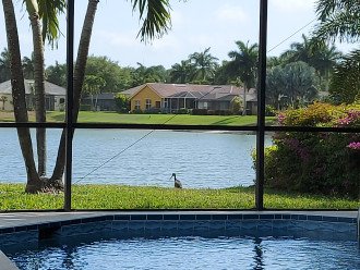 Beautiful view on wide lakefront home with screened solar heated pool #12
