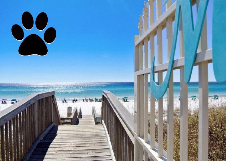 BEACH View w/ FREE Seasonal Beach Service! Pool, Hot Tub, Gym +FREE VIP Perks #1