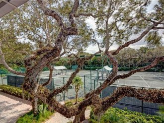 Sea Oaks Tennis Villa! #1
