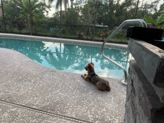 Snowbird Friendly, Gulf Shore Thing Villa with Heated Pool, Pet Friendly!! #15