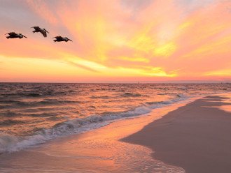 Indian Shores Beach Sunset