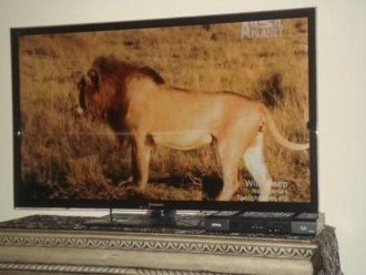 Large flat Screen TV